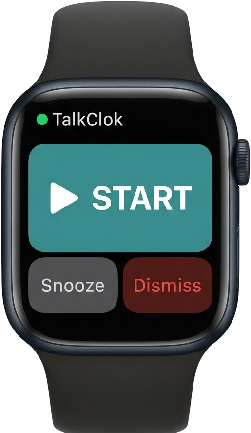 Apple Watch Companion